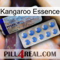 Kangaroo Essence 39